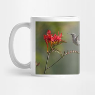 850_5886 Mug